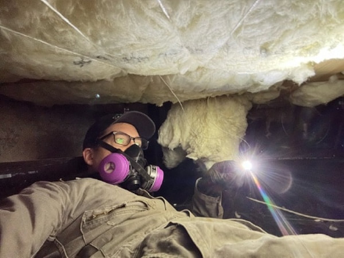 Technician inspecting a crawl space for rodent activity