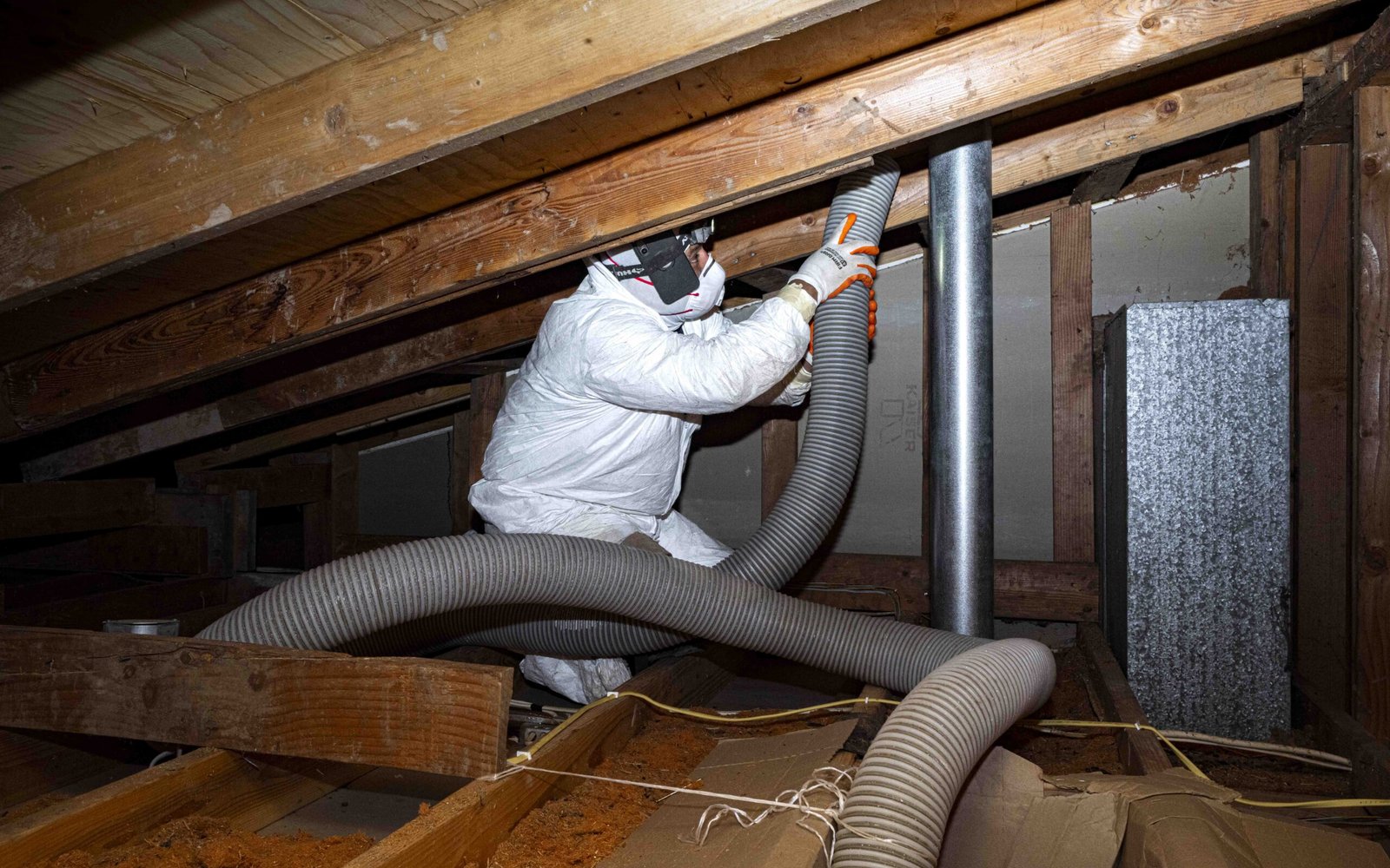 Rodent Control in Raleigh, NC